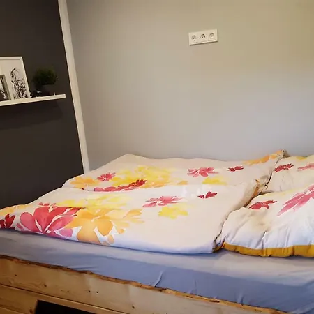 Kleines Ferienhaus In Ruhiger Lage 펜션 *
